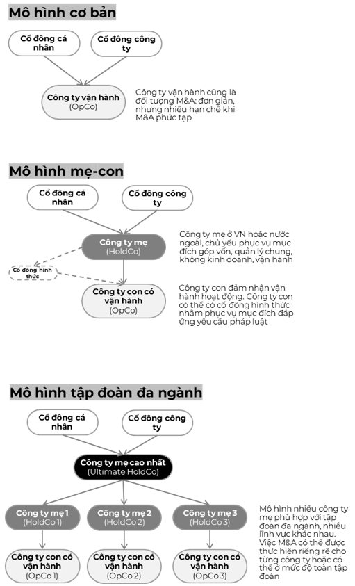 Mô hình cấu trúc doanh nghiệp cơ bản đến phức tạp